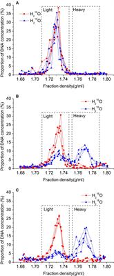 Decomposition of Microbial Necromass Is Divergent at the Individual Taxonomic Level in Soil